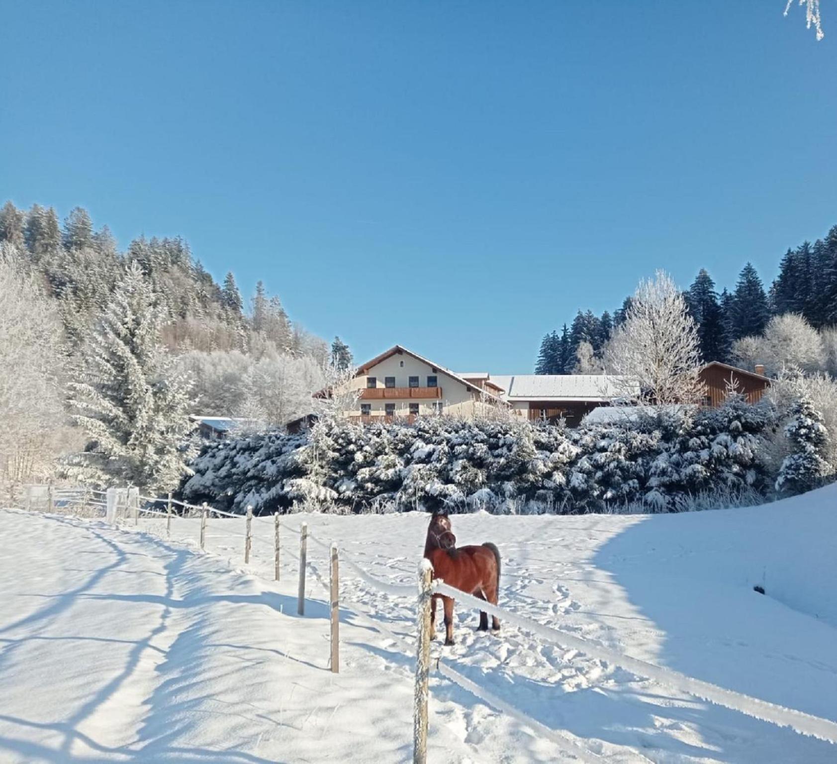 Ferienbauernhof Mehlbach *