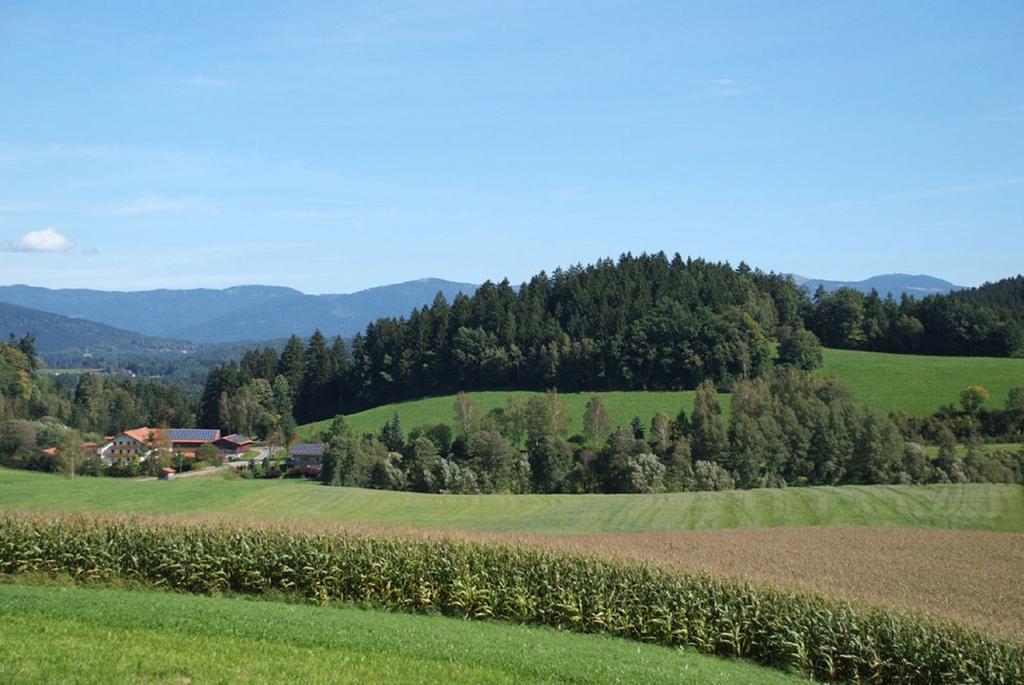 Ferienbauernhof Mehlbach Kollnburg